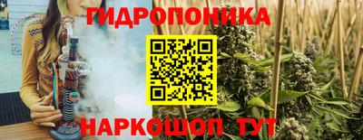 стаф Кулебаки