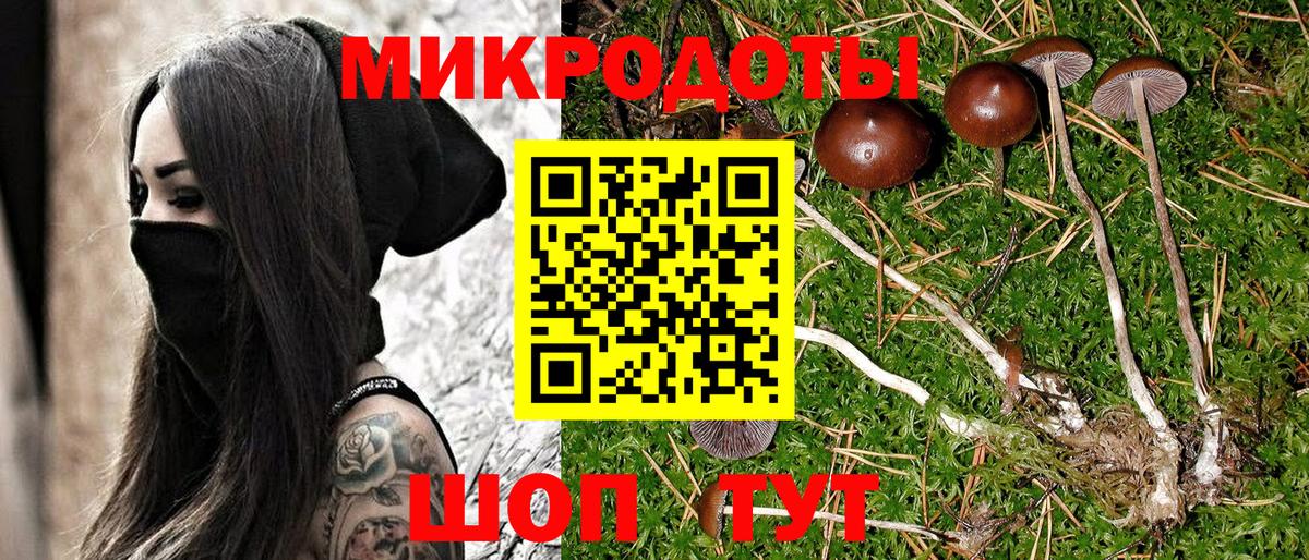 Псилоцибиновые грибы Cubensis Дятьково