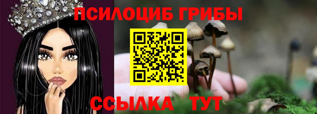 Галлюциногенные грибы Psilocybine cubensis  цена   Дятьково  Вход с VPN 